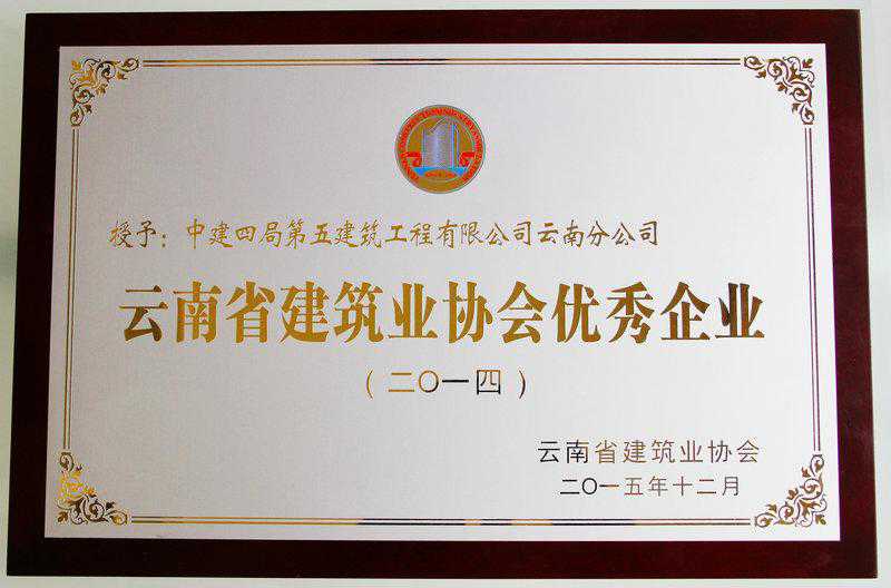 云南省建筑业协会优秀企业_副本.JPG